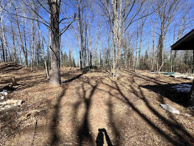 W8204 Kafka Rd, Wausaukee, WI 54159 - view of yard