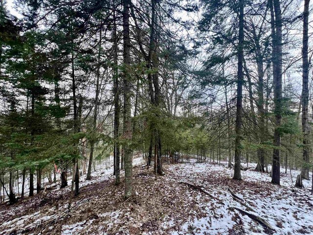 W8204 Kafka Rd, Wausaukee, WI 54159 - view of snowy view