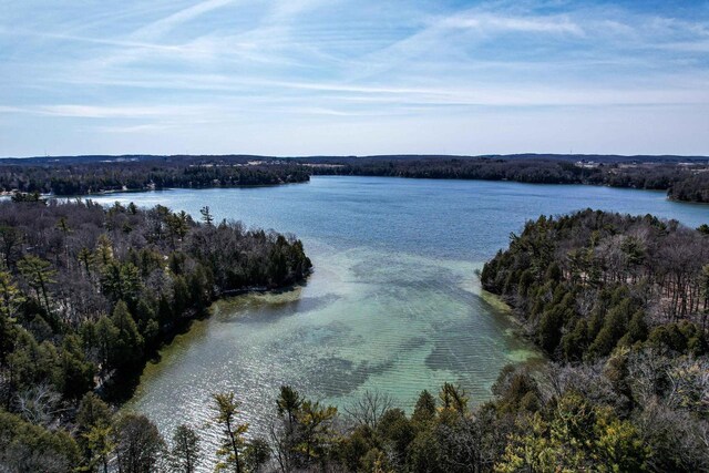 water view featuring a forest view