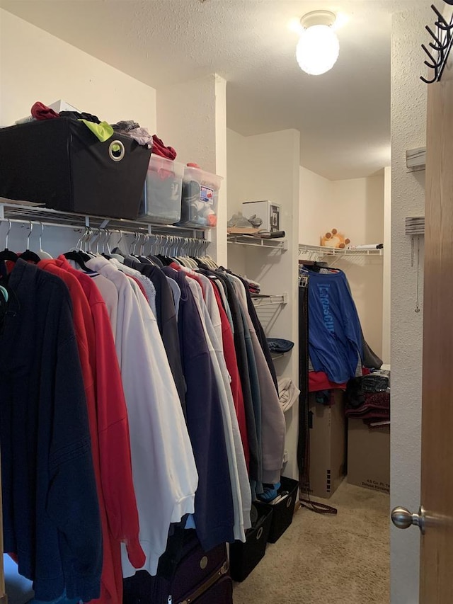 spacious closet with carpet