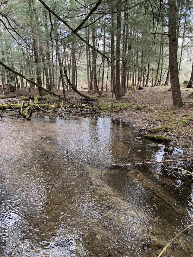 view of water feature