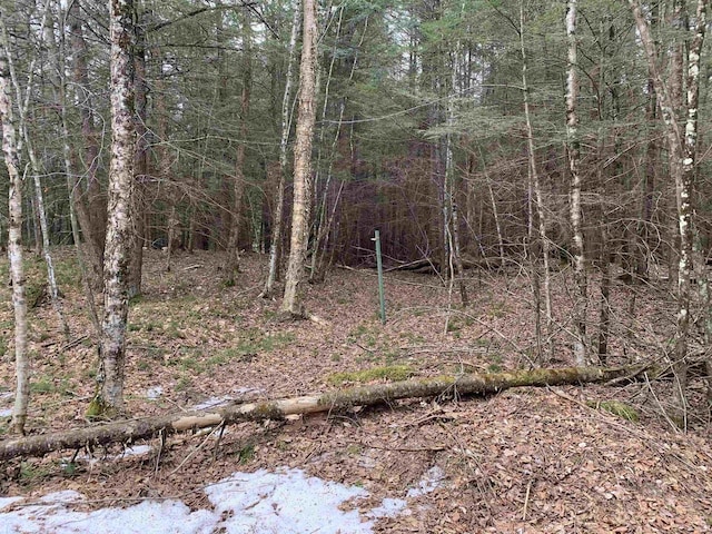 view of landscape featuring a forest view