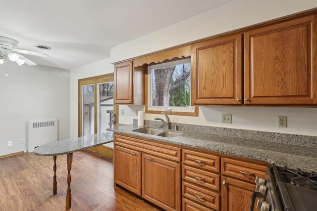 5607 Alben Ave, Mcfarland, WI 53558 - kitchen featuring radiator, ceiling fan, wood finished floors, stainless steel gas range, and a sink