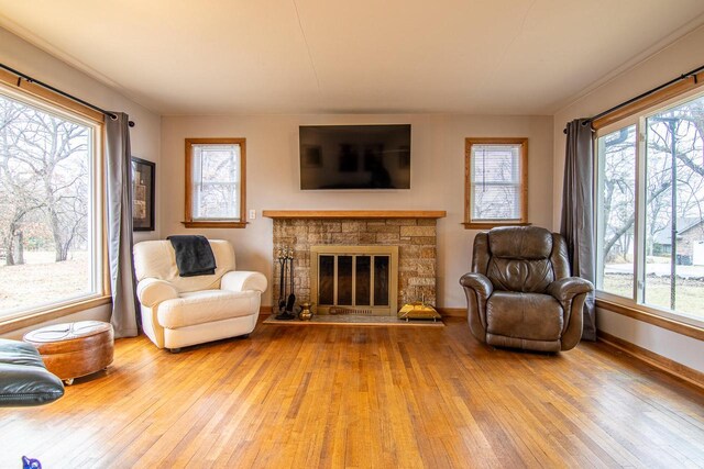 W9404 Porter Dr Unit W9408, Cambridge, WI 53523 - living room featuring a wealth of natural light, a stone fireplace, baseboards, and hardwood / wood-style floors