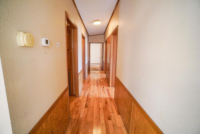 N7957 15th Ave, New Lisbon, WI 53950 - hall with wainscoting and light wood-style floors