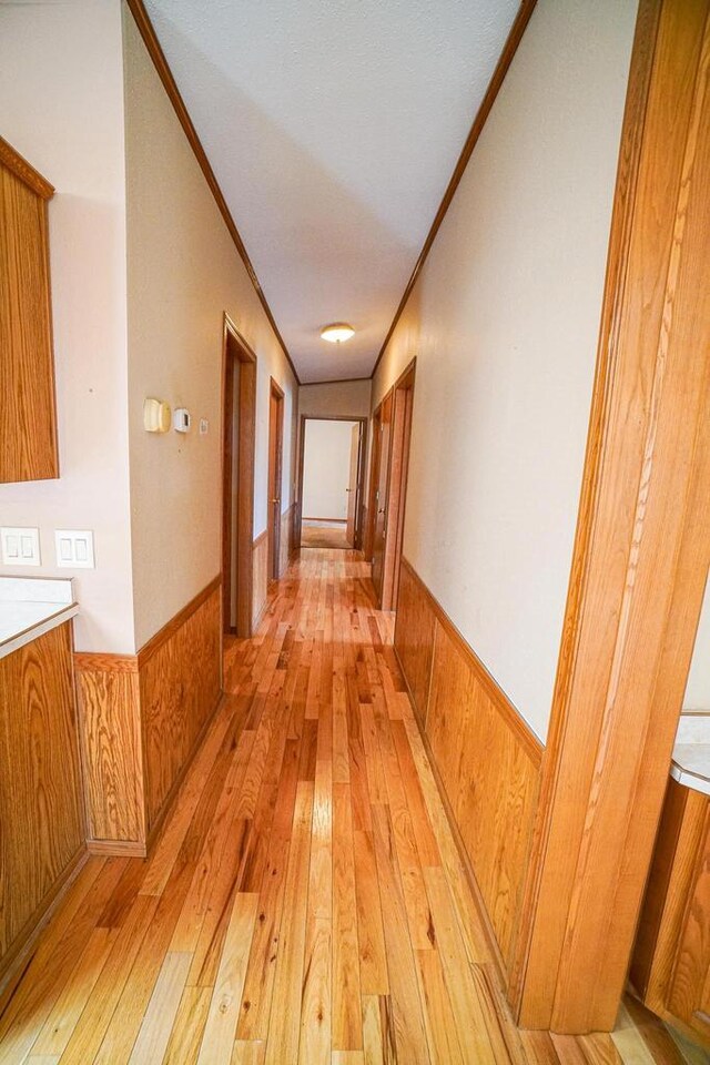 N7957 15th Ave, New Lisbon, WI 53950 - hallway with crown molding, light wood-style flooring, and wainscoting