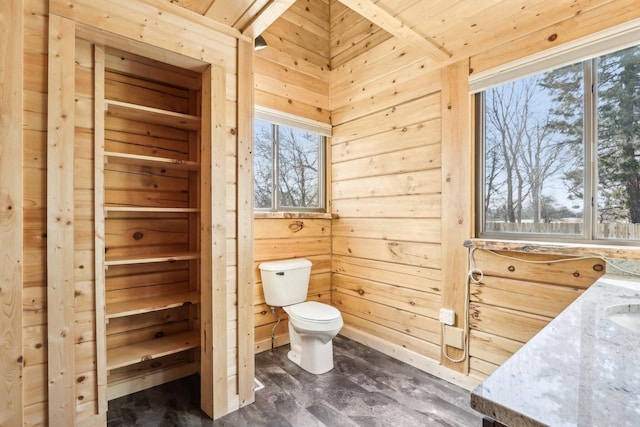 10728 Spring St, Mount Pleasant, WI 53177 - bathroom with wood walls, toilet, and vanity