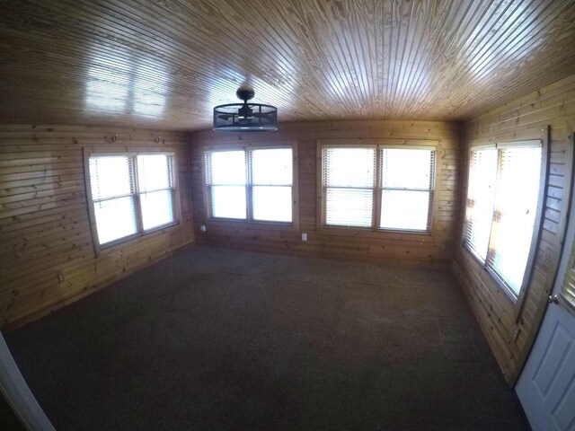 N2798 Little Green Rd, Markesan, WI 53946 - unfurnished room with a healthy amount of sunlight, wooden ceiling, and wooden walls