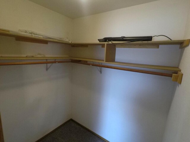 N2798 Little Green Rd, Markesan, WI 53946 - view of spacious closet