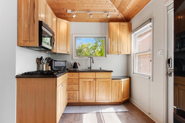 44 Oakwood St, Williams Bay, WI 53191 - kitchen featuring stainless steel microwave, a sink, light wood-style flooring, wooden ceiling, and dark countertops
