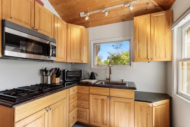 44 Oakwood St, Williams Bay, WI 53191 - kitchen with stainless steel microwave, a sink, black gas cooktop, rail lighting, and plenty of natural light