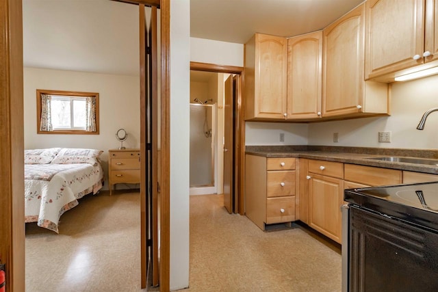 1735 W 19th Ave, Arkdale, WI 54613 - kitchen with dark countertops, light brown cabinetry, light floors, black electric range, and a sink