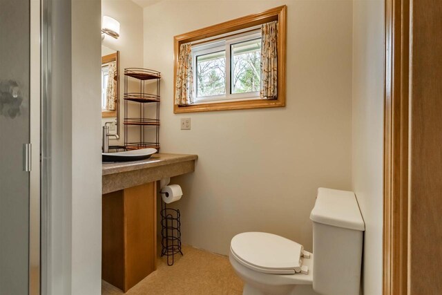 1735 W 19th Ave, Arkdale, WI 54613 - bathroom featuring toilet and a sink