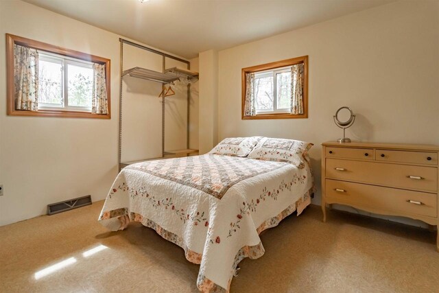 1735 W 19th Ave, Arkdale, WI 54613 - bedroom featuring visible vents, multiple windows, and carpet floors