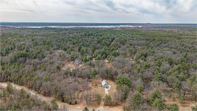 1735 W 19th Ave, Arkdale, WI 54613 - drone / aerial view with a forest view