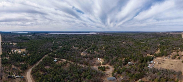 1735 W 19th Ave, Arkdale, WI 54613 - birds eye view of property featuring a forest view