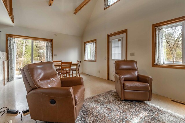 1735 W 19th Ave, Arkdale, WI 54613 - living room featuring a wealth of natural light, visible vents, high vaulted ceiling, and beam ceiling