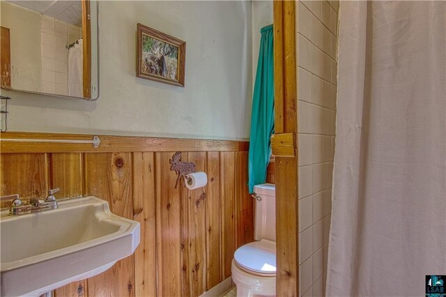 9293 N County Hwy E, Hayward, WI 54843 - full bathroom featuring a wainscoted wall, wood walls, toilet, and a sink