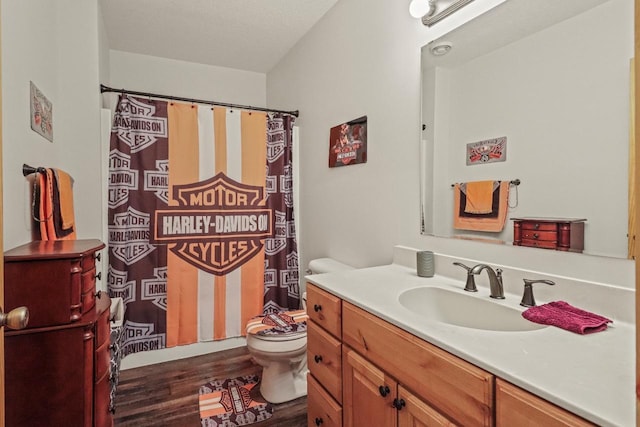 1055 Shishebogama Dr, Minocqua, WI 54548 - bathroom featuring toilet, vanity, wood finished floors, and curtained shower