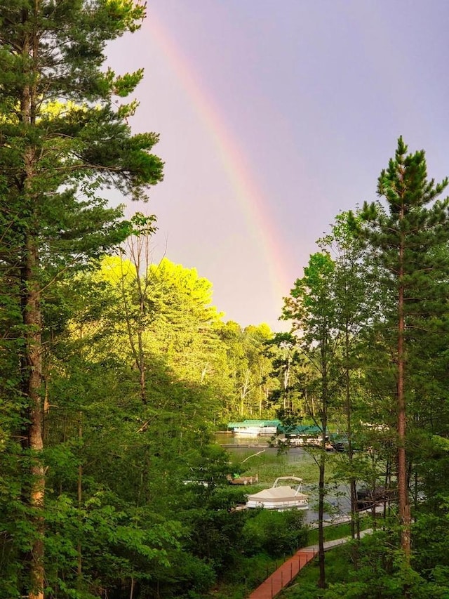 1055 Shishebogama Dr, Minocqua, WI 54548 - view of property's community featuring a view of trees