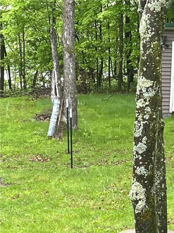 2897 Indian Mound Rd, Luck, WI 54853 - view of yard