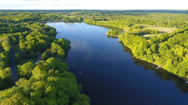 2897 Indian Mound Rd, Luck, WI 54853 - aerial view of a forest and a nearby body of water