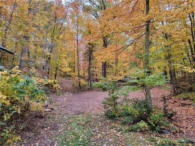 45715 Krafts Point Rd, Cable, WI 54821