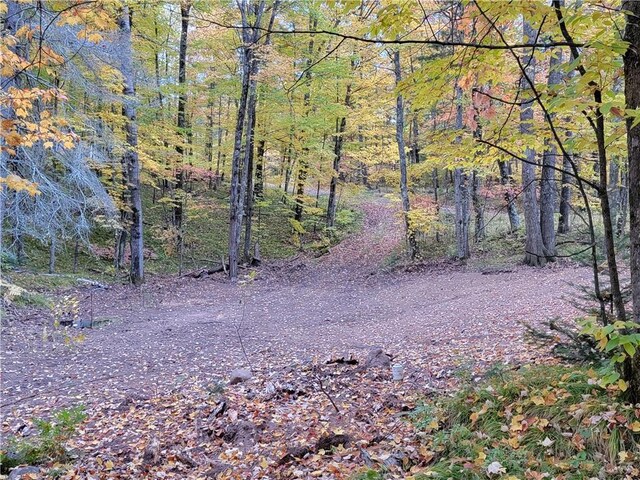 45715 Krafts Point Rd, Cable, WI 54821