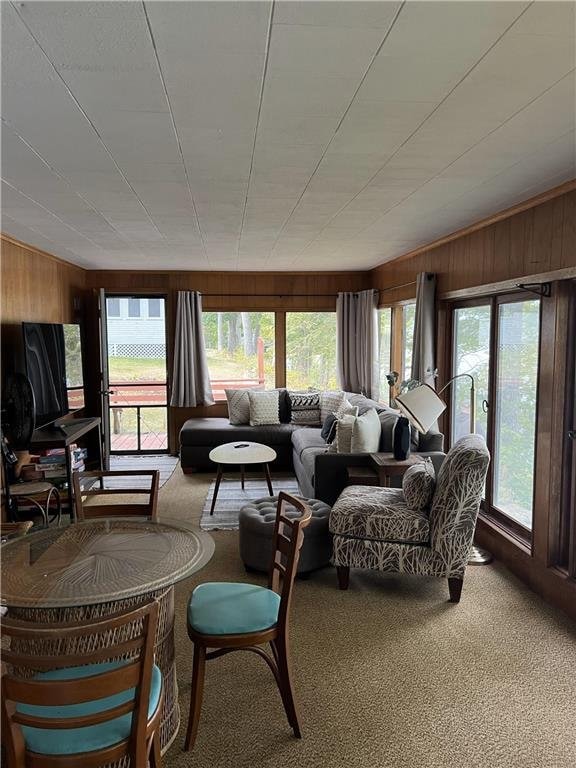 1741A S Deer Lake Cir, Saint Croix Falls, WI 54024 - carpeted living room featuring wooden walls