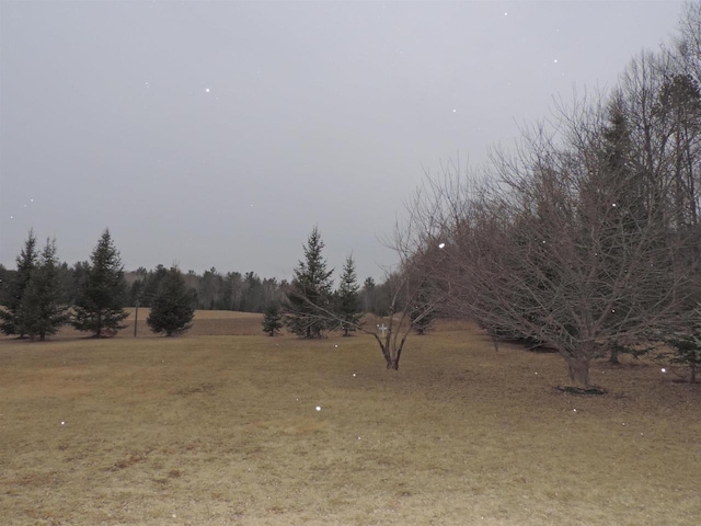 view of yard featuring a rural view