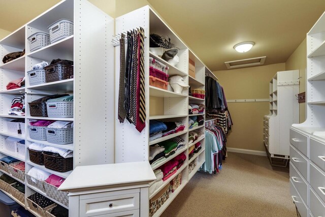 N4795 County Road V, Poynette, WI 53955 - walk in closet featuring light colored carpet and attic access