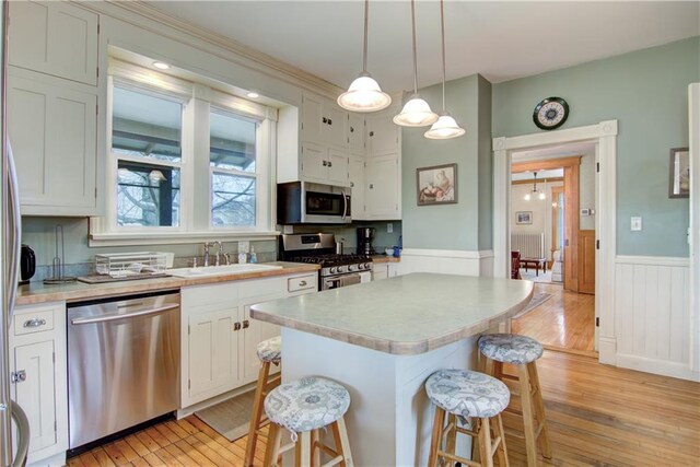 435 Jefferson St, Eau Claire, WI 54701 - kitchen with stainless steel appliances, a kitchen breakfast bar, wainscoting, a sink, and light wood-style flooring