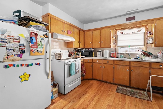 1-3 Mechanic St, Edgerton, WI 53534 - kitchen featuring under cabinet range hood, brown cabinets, light wood-type flooring, and white appliances