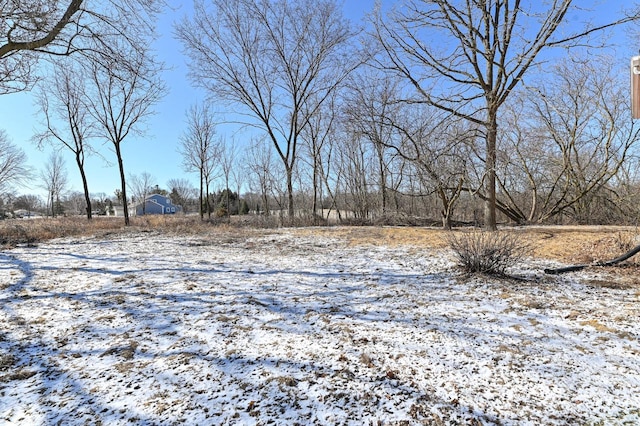 view of yard covered in snow