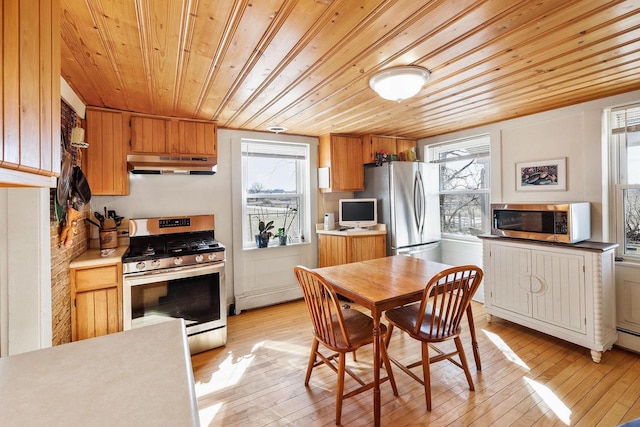 6112 County Road A, Brooklyn, WI 53521 - kitchen with light wood-style flooring, wood ceiling, appliances with stainless steel finishes, under cabinet range hood, and light countertops