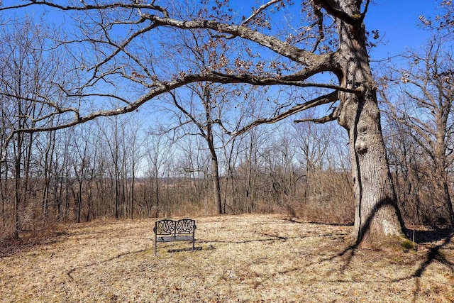 6112 County Road A, Brooklyn, WI 53521 - view of landscape featuring a wooded view