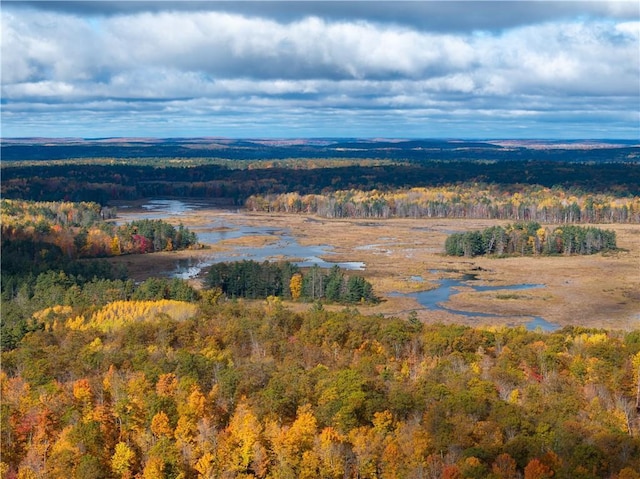 LOT45 Atlas Ln, Hayward, WI 54843 - drone / aerial view of a heavily wooded area