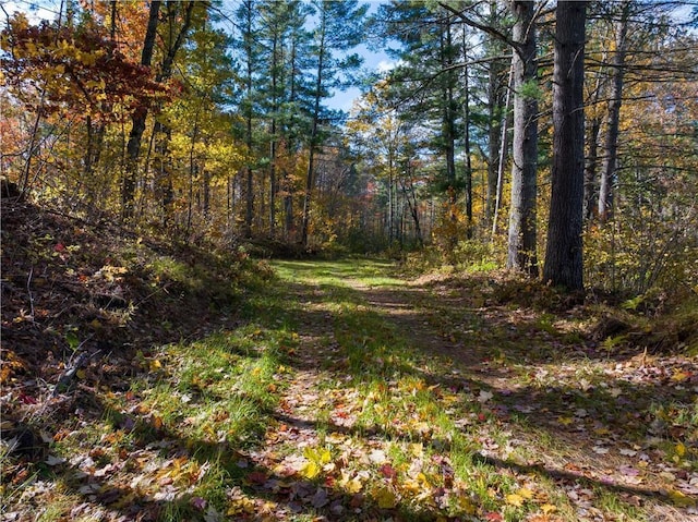 LOT45 Atlas Ln, Hayward, WI 54843 - view of woods