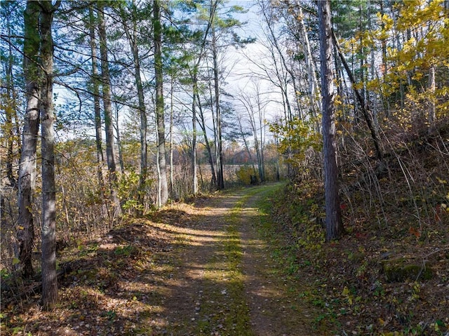 LOT45 Atlas Ln, Hayward, WI 54843 - view of dirt / gravel road with a view of trees