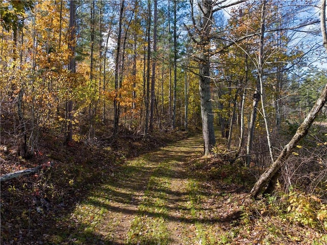 LOT45 Atlas Ln, Hayward, WI 54843 - view of tree filled area