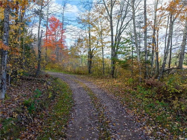 LOT45 Atlas Ln, Hayward, WI 54843 - view of dirt / gravel road with a view of trees