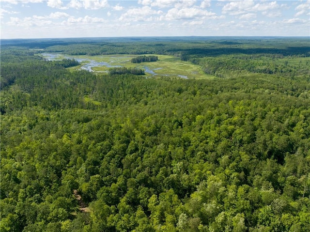LOT45 Atlas Ln, Hayward, WI 54843 - bird's eye view of a heavily wooded area