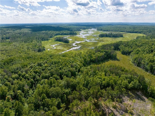 LOT45 Atlas Ln, Hayward, WI 54843 - aerial view of a forest