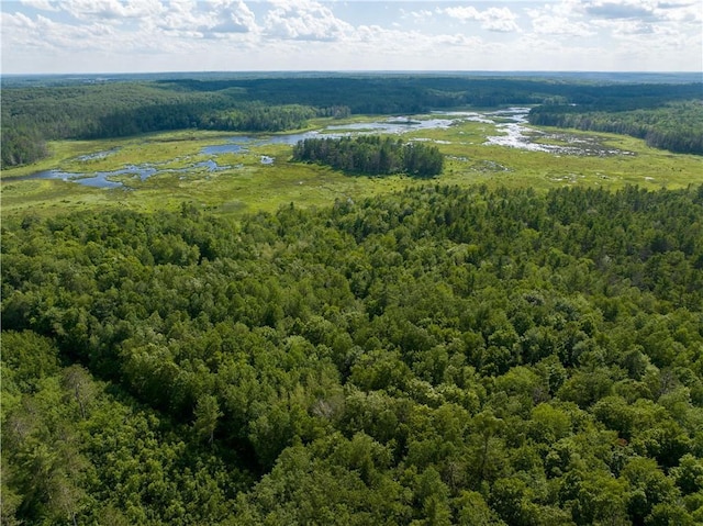 LOT45 Atlas Ln, Hayward, WI 54843 - drone / aerial view of a forest and a nearby body of water