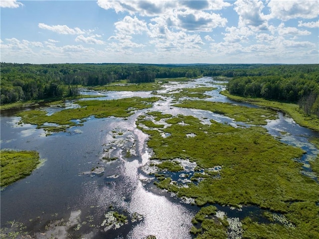 LOT45 Atlas Ln, Hayward, WI 54843 - aerial view of a heavily wooded area and a nearby body of water