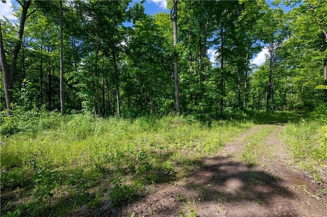 LOT45 Atlas Ln, Hayward, WI 54843 - view of woods