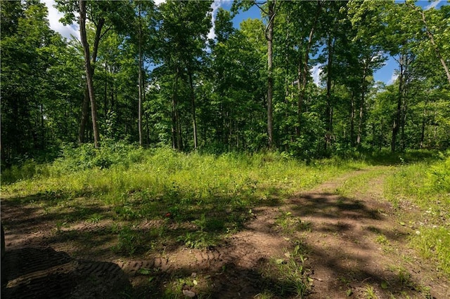 LOT45 Atlas Ln, Hayward, WI 54843 - view of undeveloped land