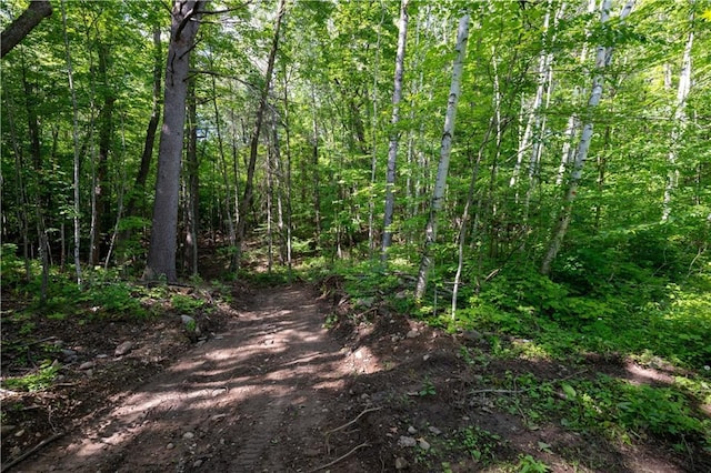 LOT45 Atlas Ln, Hayward, WI 54843 - view of road with a wooded view
