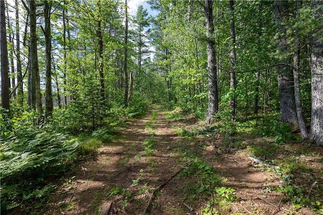 LOT45 Atlas Ln, Hayward, WI 54843 - view of tree filled area