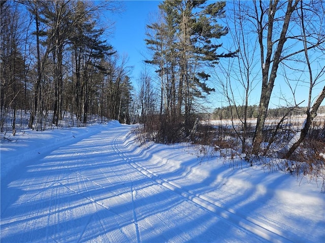 LOT45 Atlas Ln, Hayward, WI 54843 - view of yard layered in snow